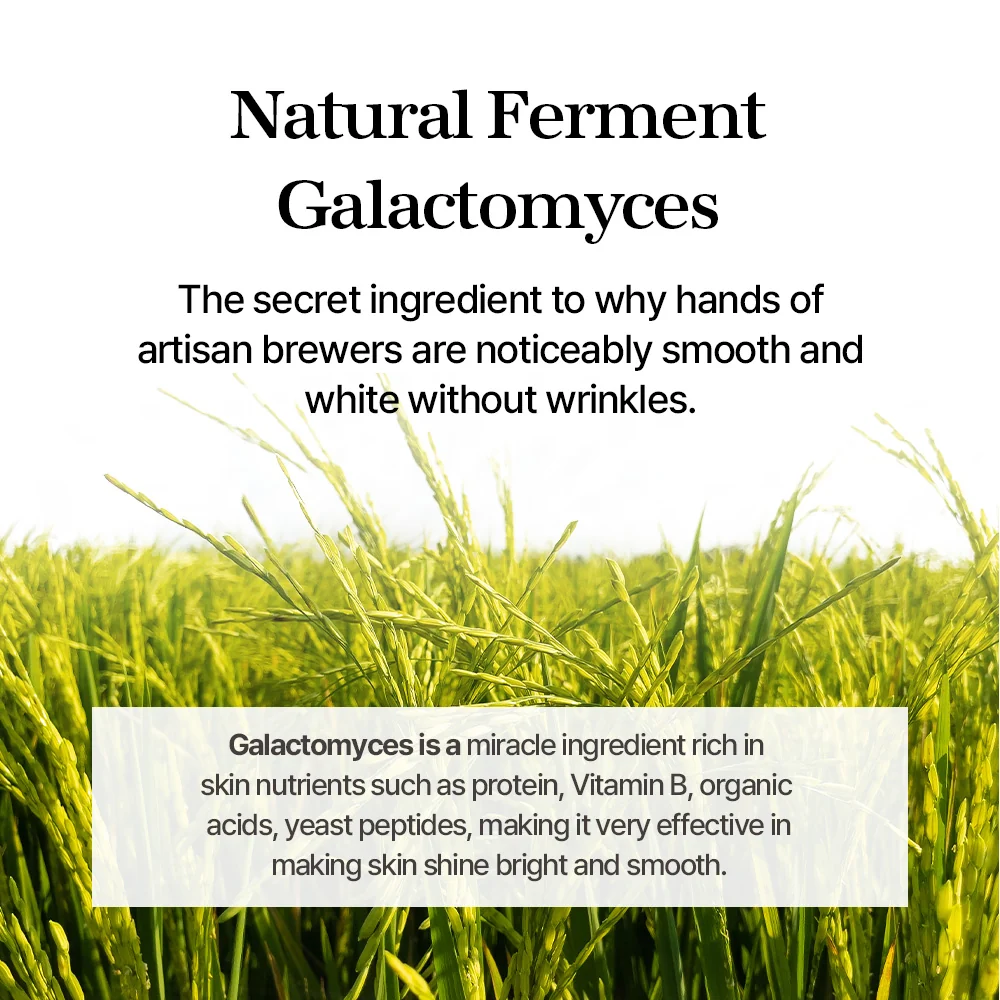mixsoon Galactomyces Ferment Essence 100ml - Image 4