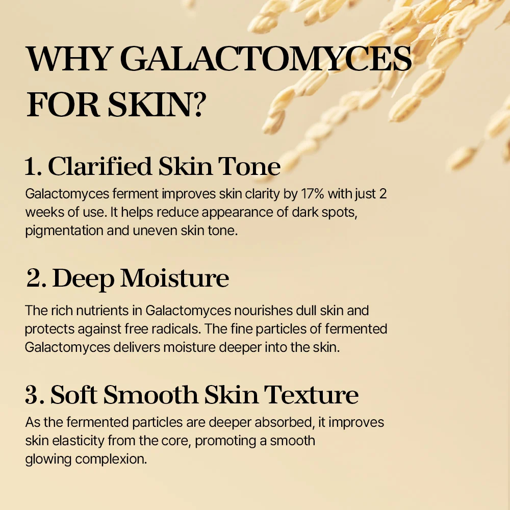mixsoon Galactomyces Ferment Essence 100ml - Image 5