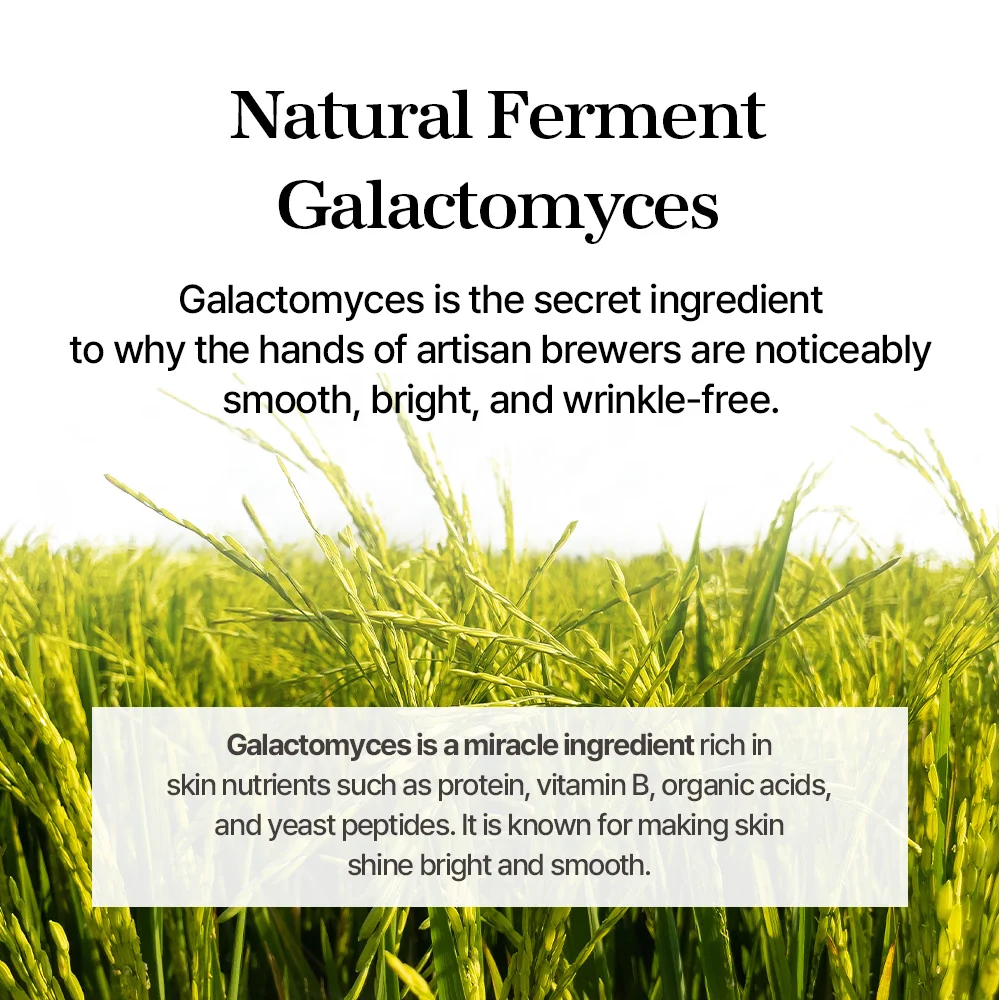 mixsoon Premium Galactomyces Cream 50ml - Image 5
