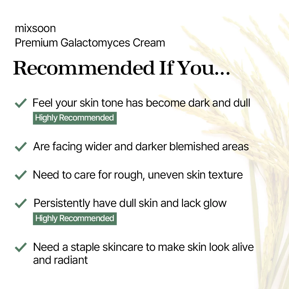 mixsoon Premium Galactomyces Cream 50ml - Image 7